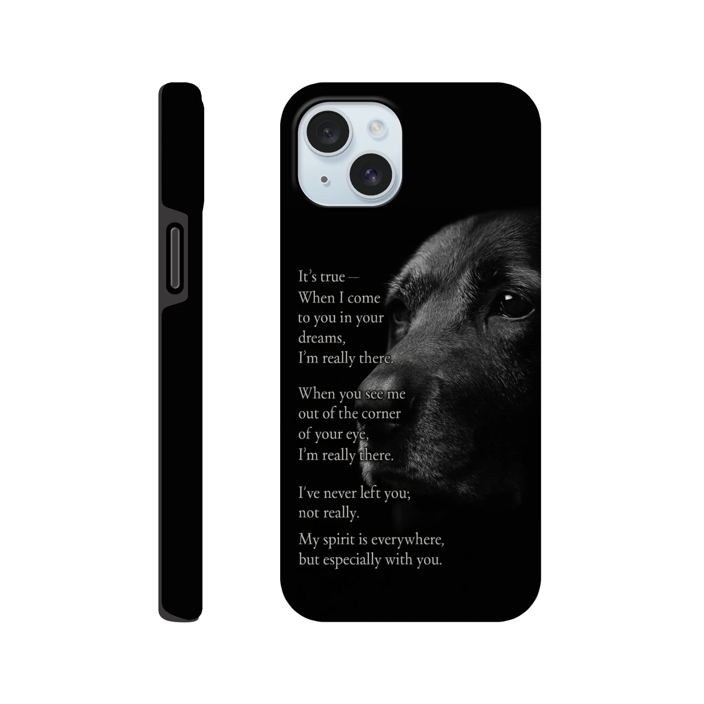 102fb442-a8d5-4b03-b9bc-9ceffc0a98ed