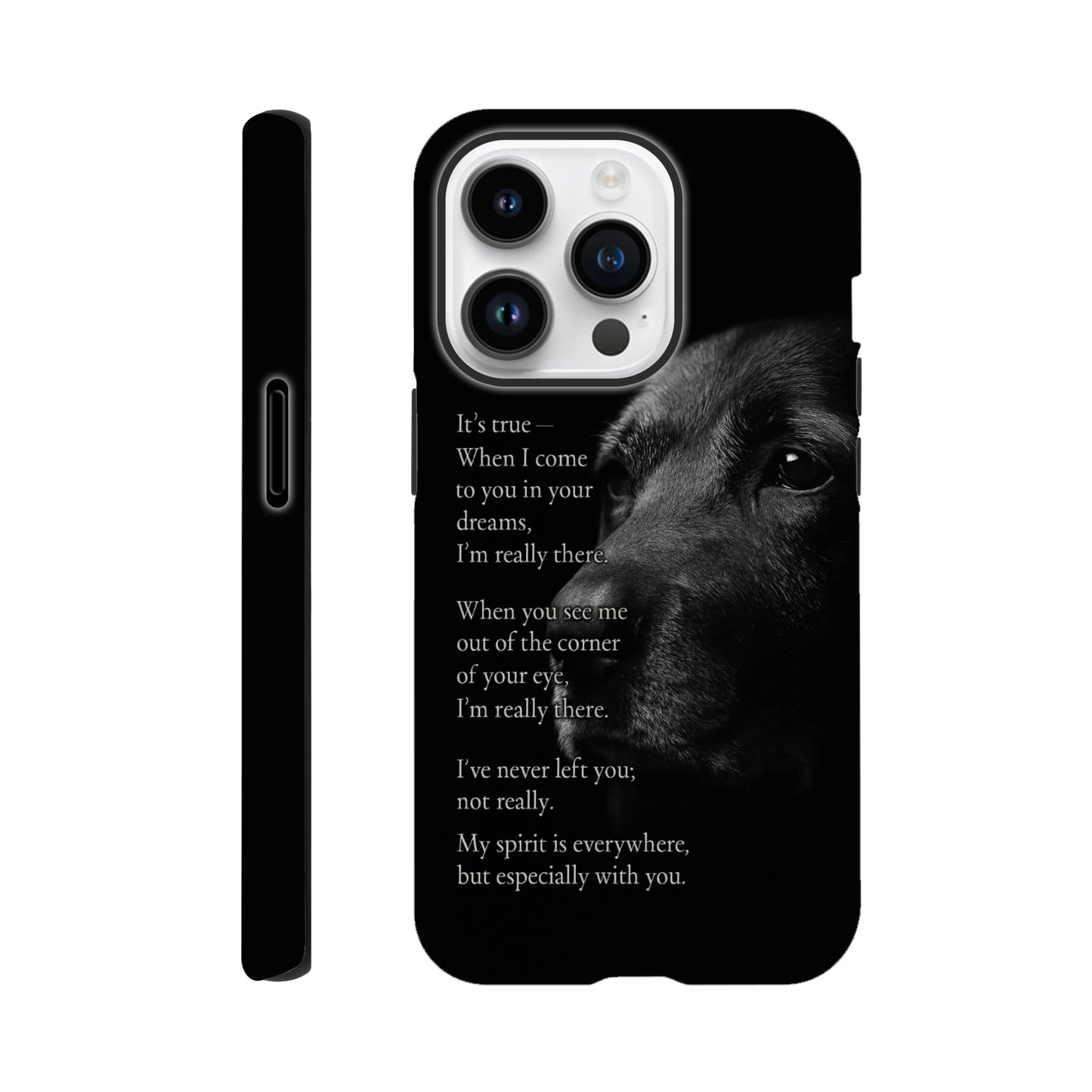 2d222344-2d39-4bda-9835-a2acbd959060