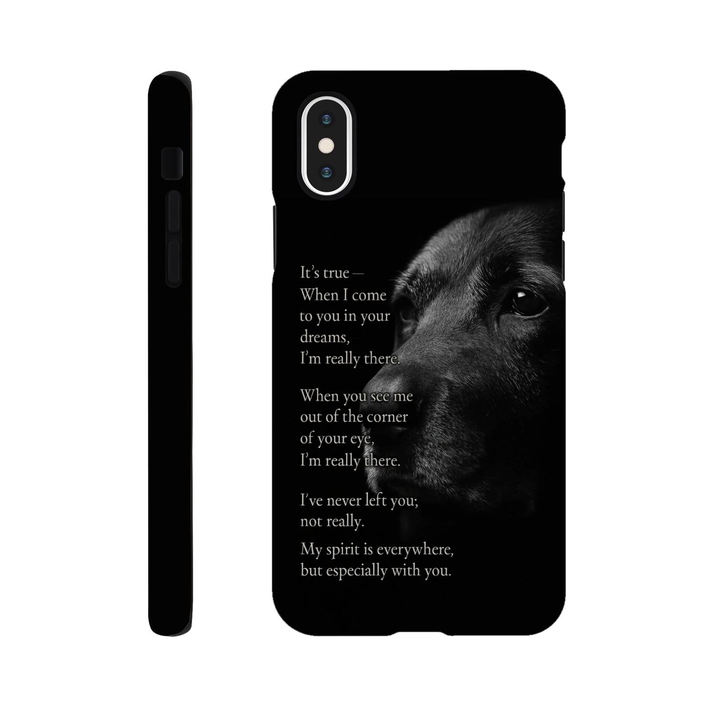 366a3527-a04e-4a6e-bb3f-93fce1bf418a