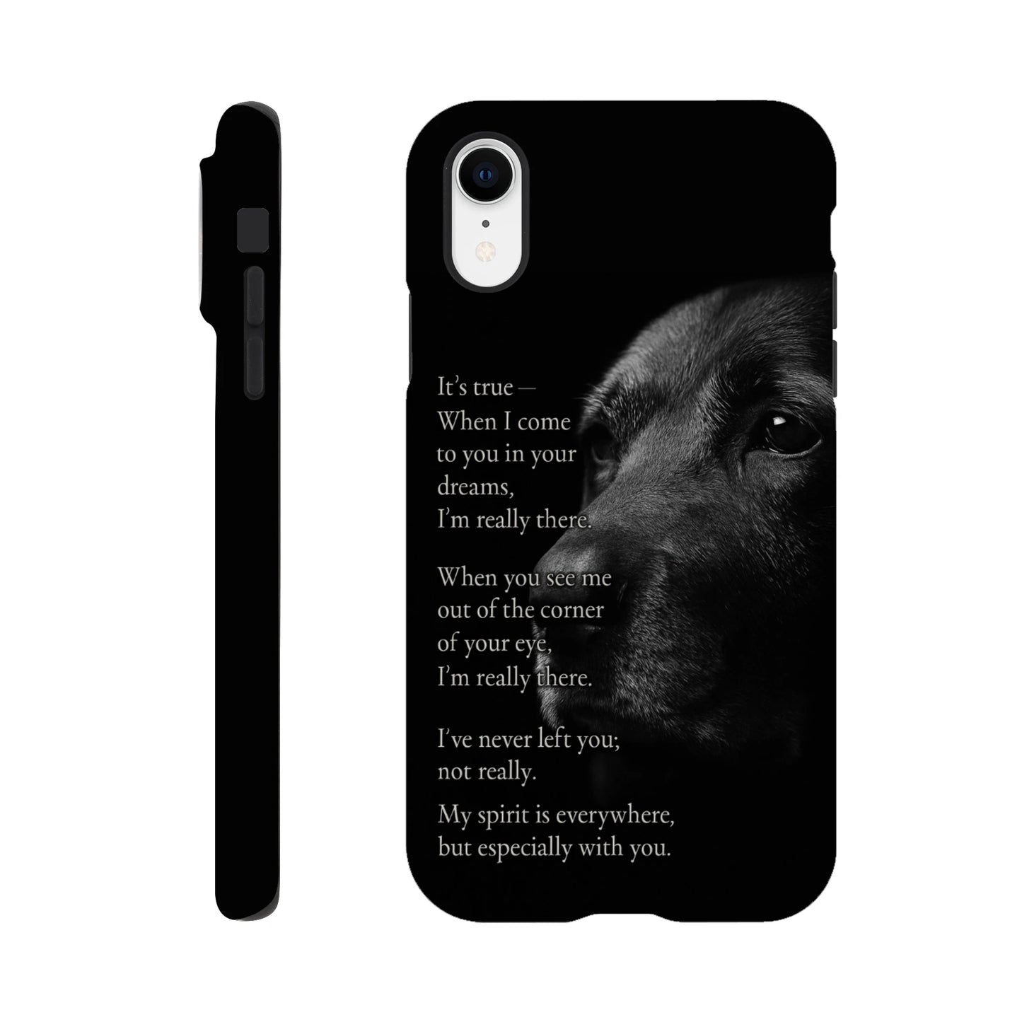 38ac278b-dae7-4e54-a20c-d75d7b255c9f