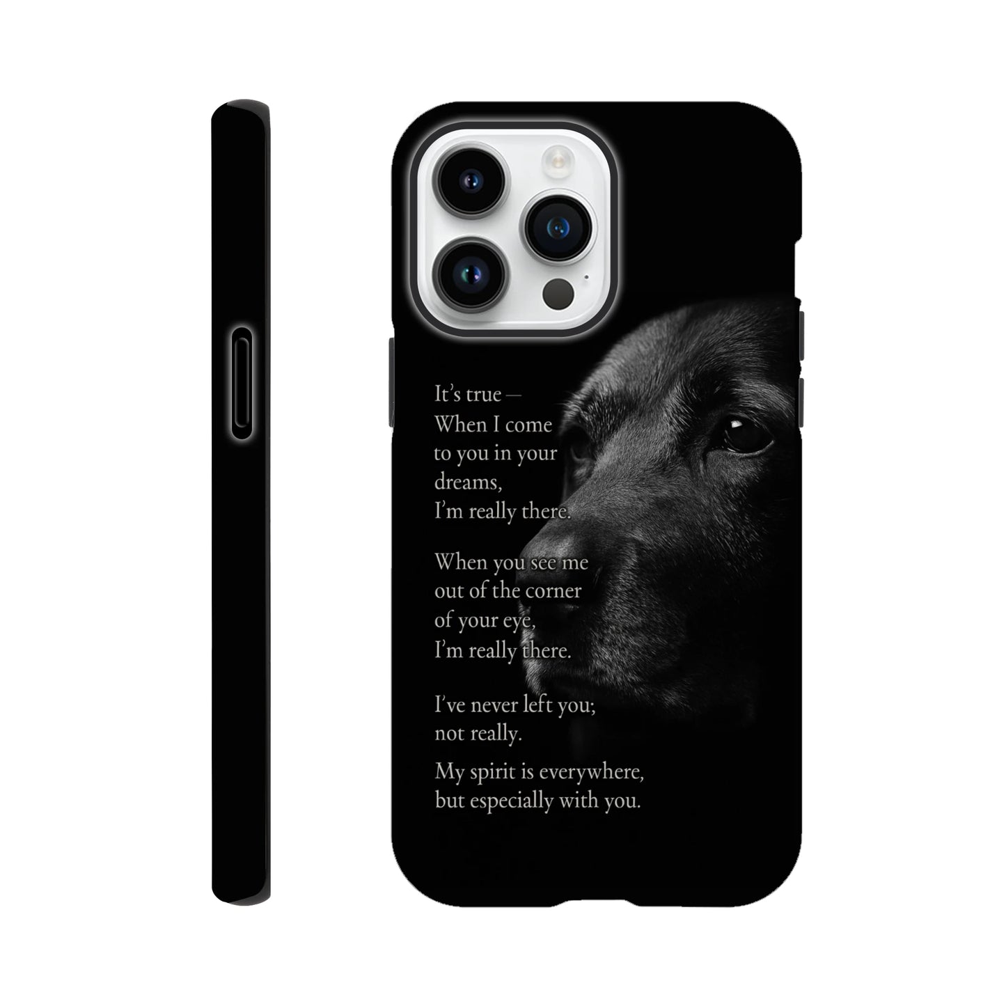 5f757d20-4b44-40fb-83a2-b5ca91accd4e