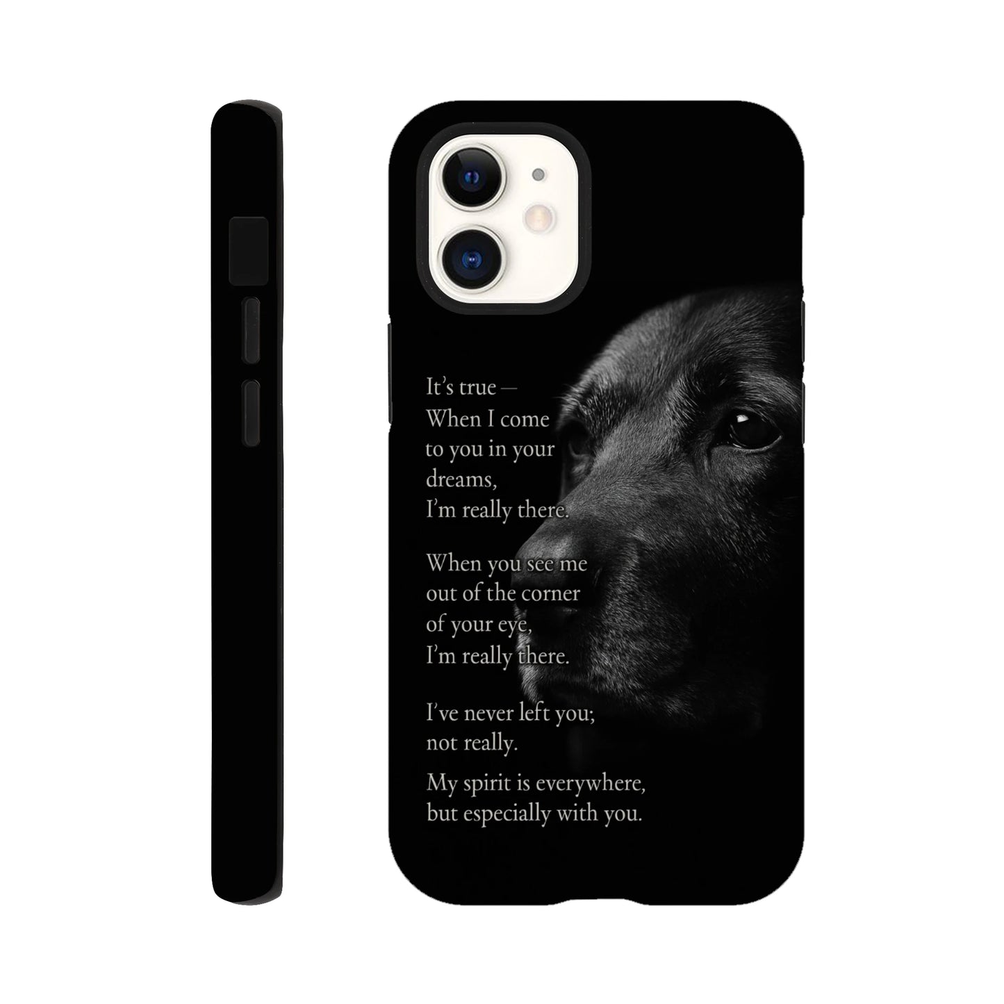 6d107b20-fbb5-4108-825d-0c98505c84e4