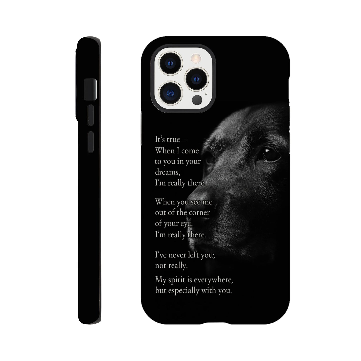 6e9545a2-bdf5-4a06-9516-9f0014d6999a