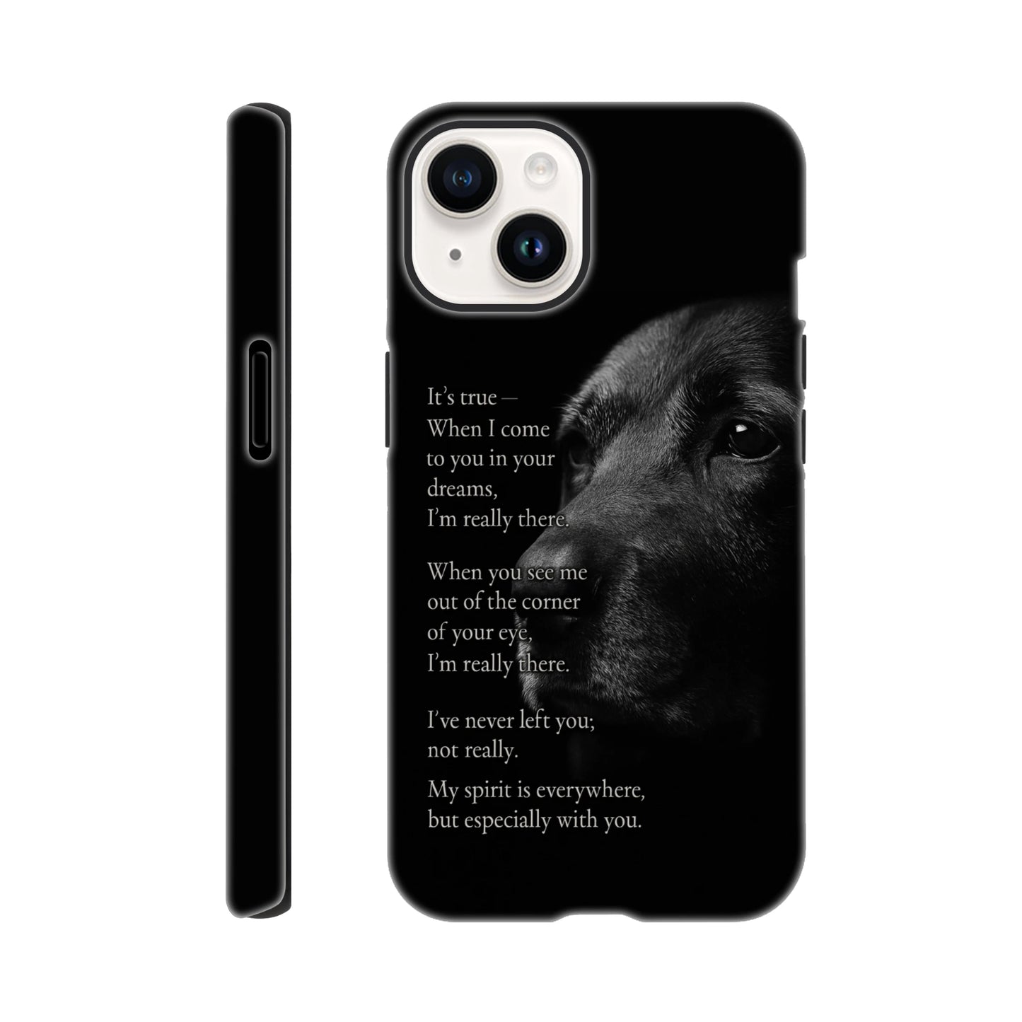 71967507-c4d6-43e8-a00d-abad864b6d8e