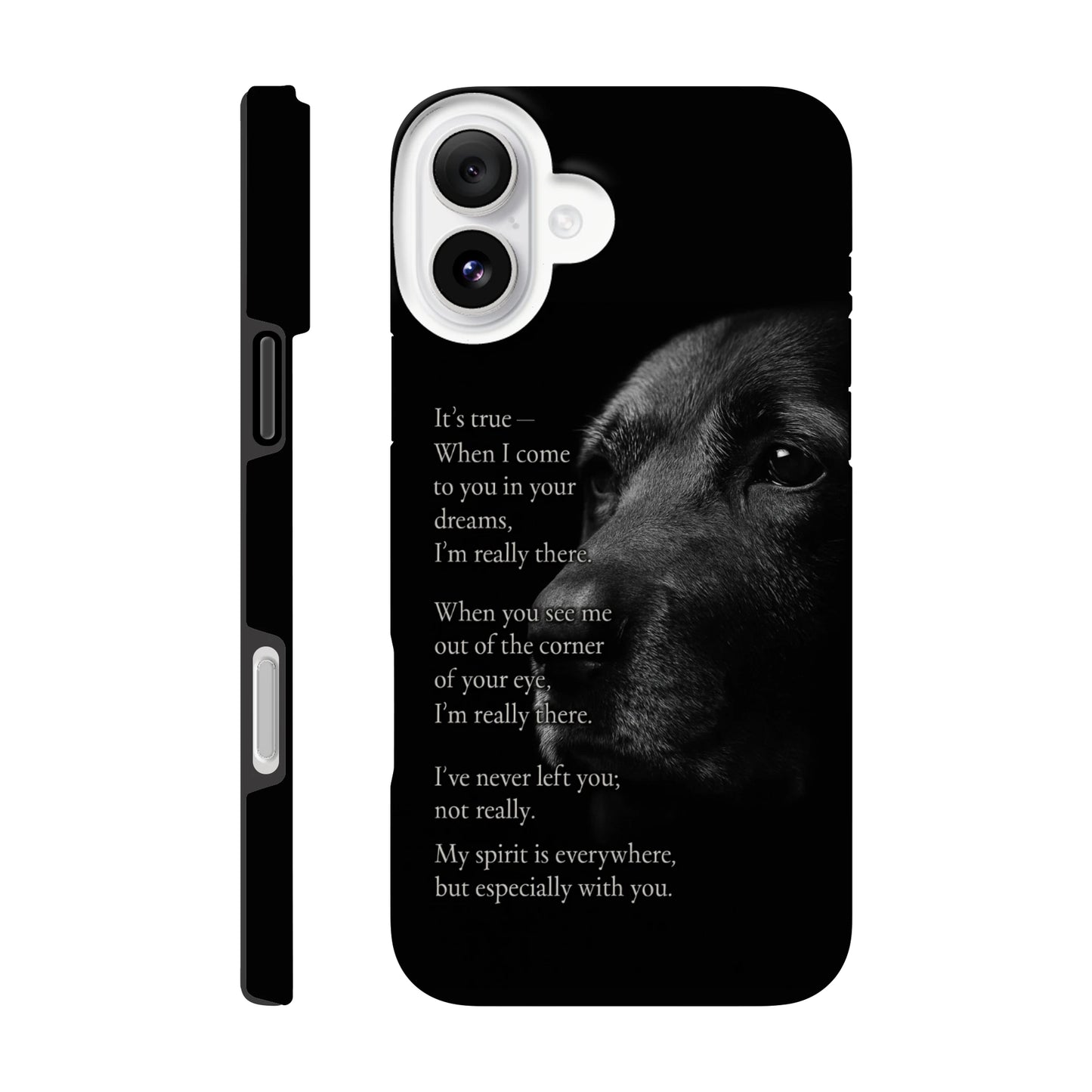 905d0a41-4803-40f9-9bb7-12a8afb7ec3e