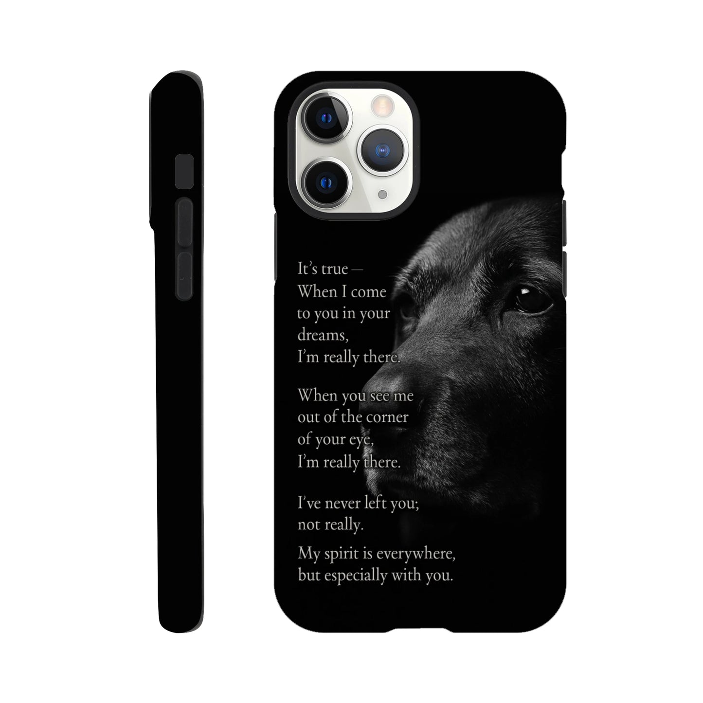 a7052516-c24d-4cbb-a08c-b3bd53b2f99c