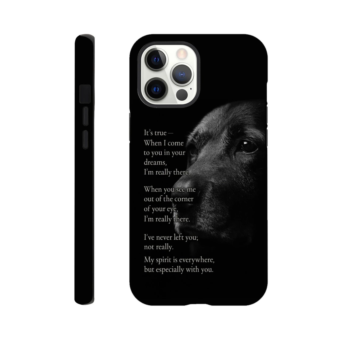 ac0732d1-c1bd-444a-b5c8-2fec61cb29fd