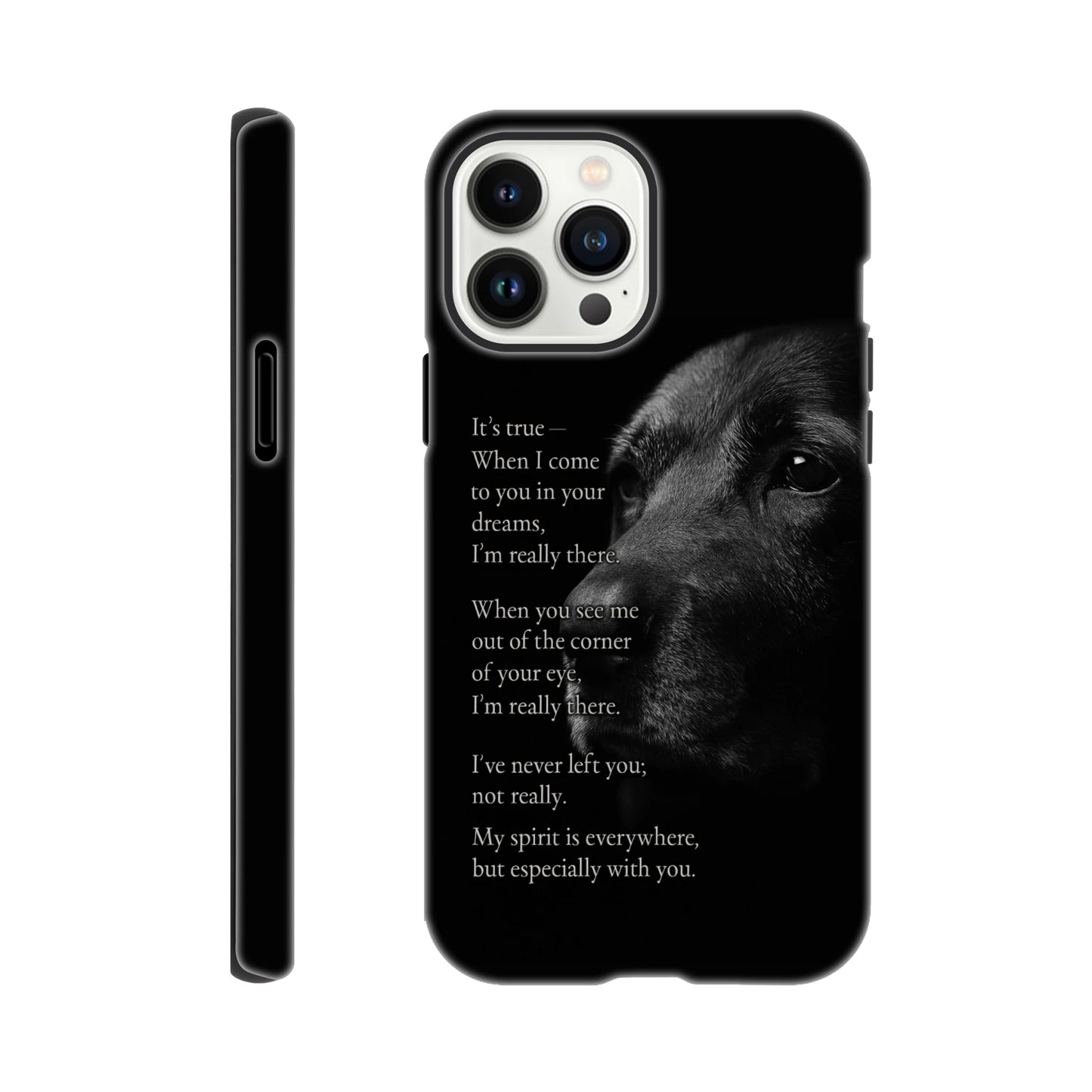 cbc2c7c1-5c01-4f12-a1f9-00900c552669