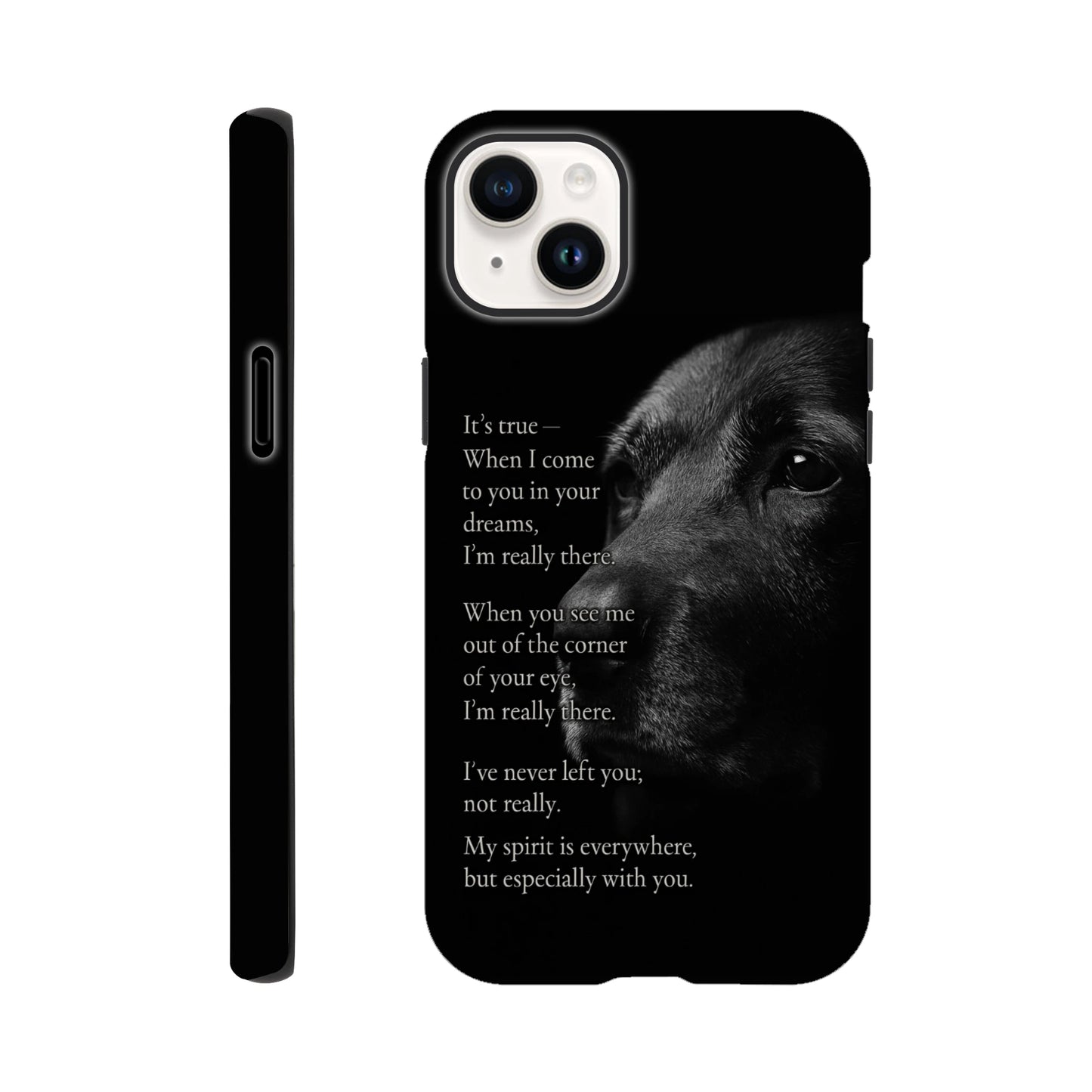 d27d2e45-c5a8-46b5-98e2-de0002113f2d