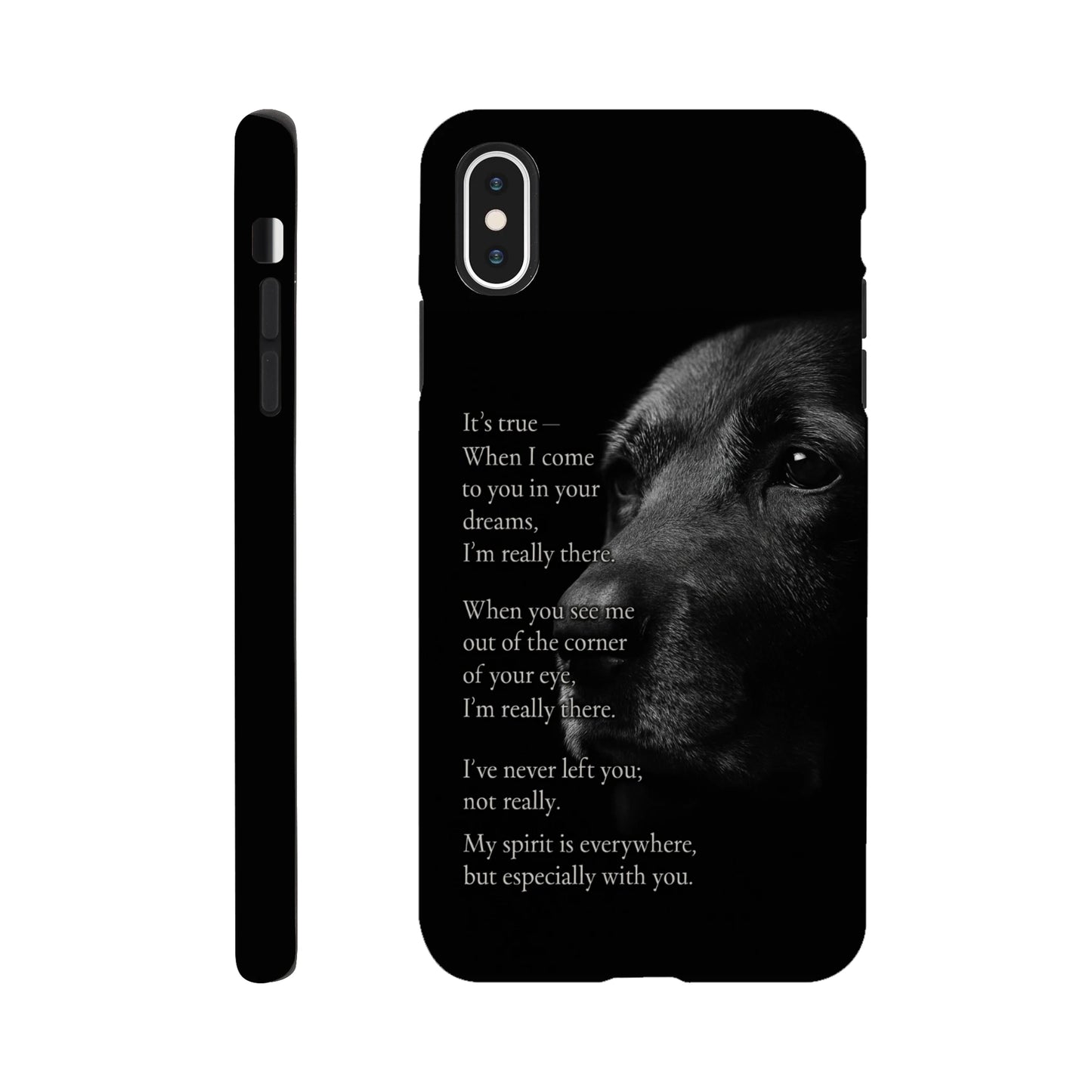 d4388c1d-6af7-425a-b577-d79d0cf92e8c