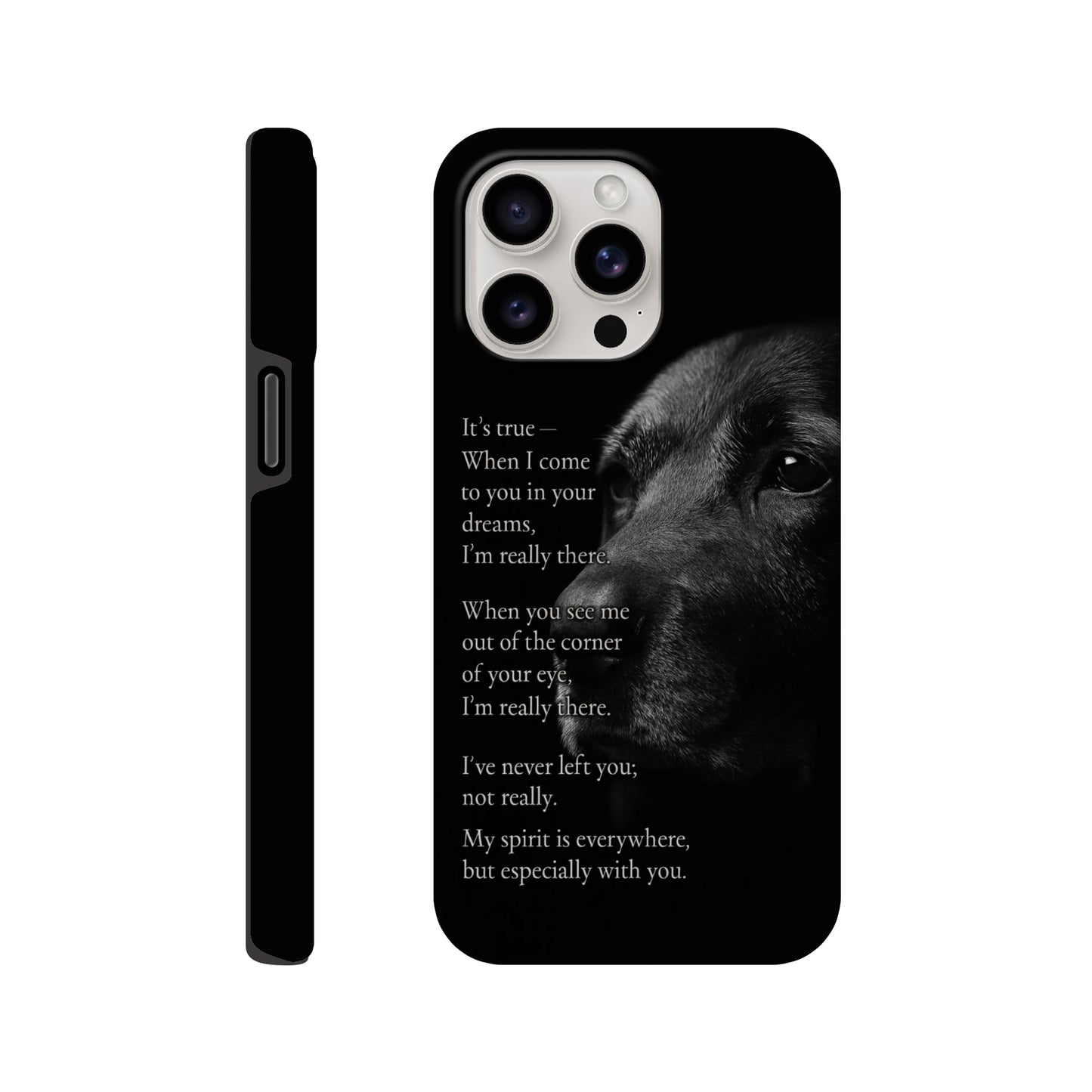 d869aa86-4fe0-49db-a5c8-6a1f0e41599a