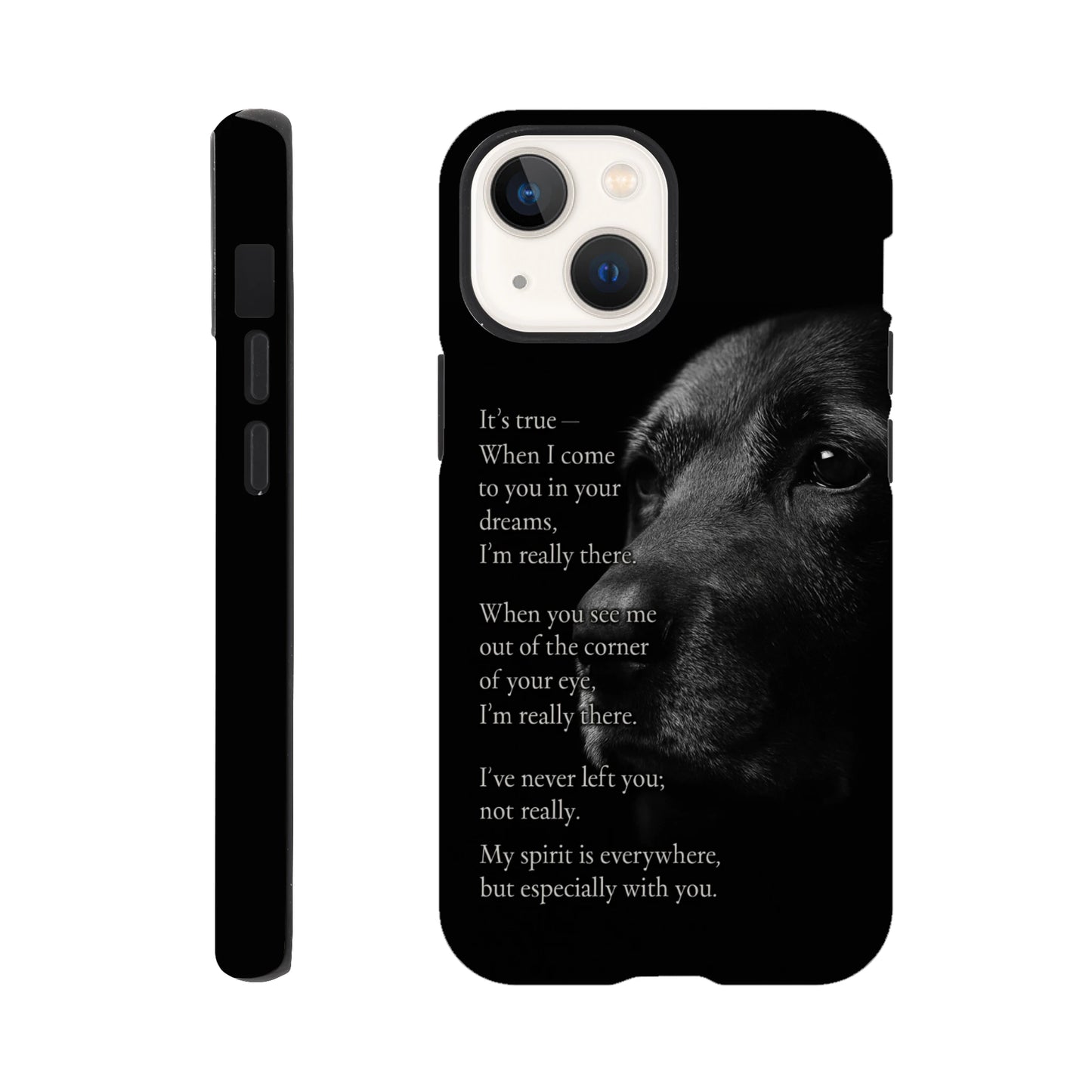 dba73fc1-5d50-4fb9-85ca-fdba4439c089