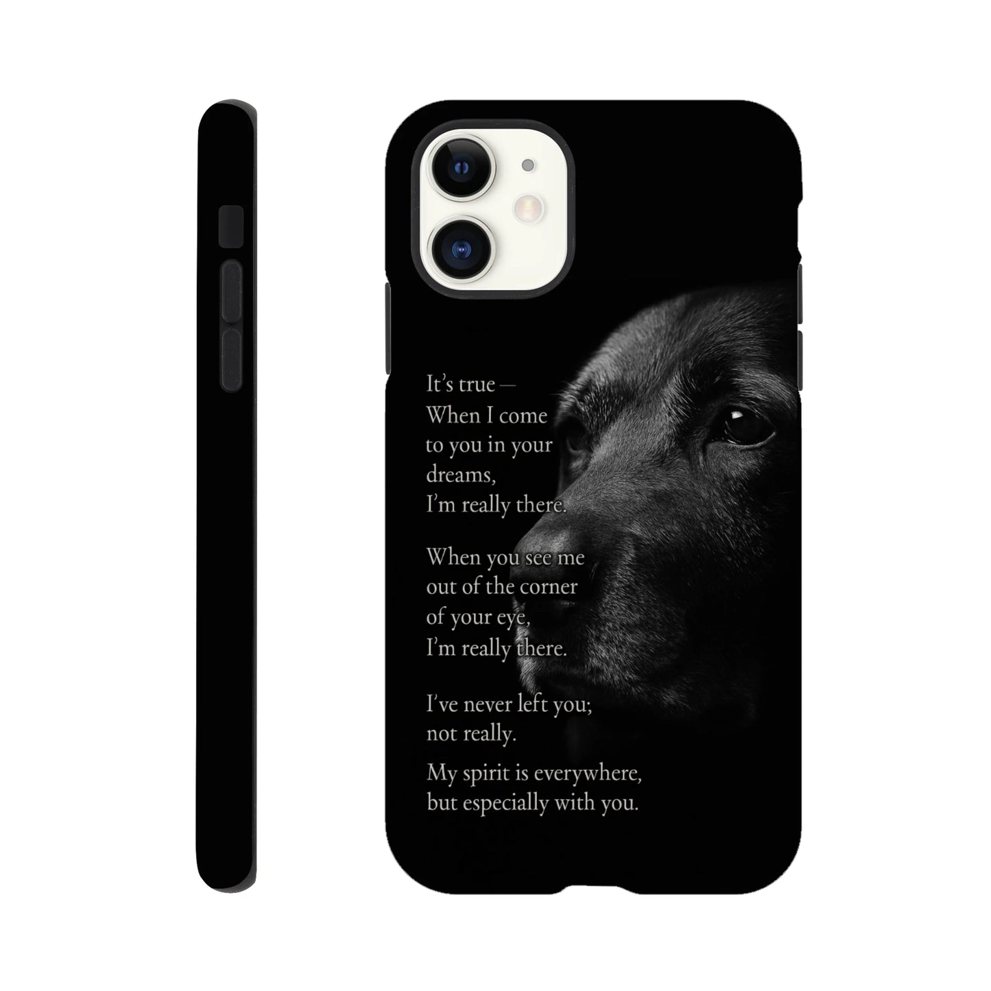 dca5e737-b149-4abd-8e7c-b70951fd8376