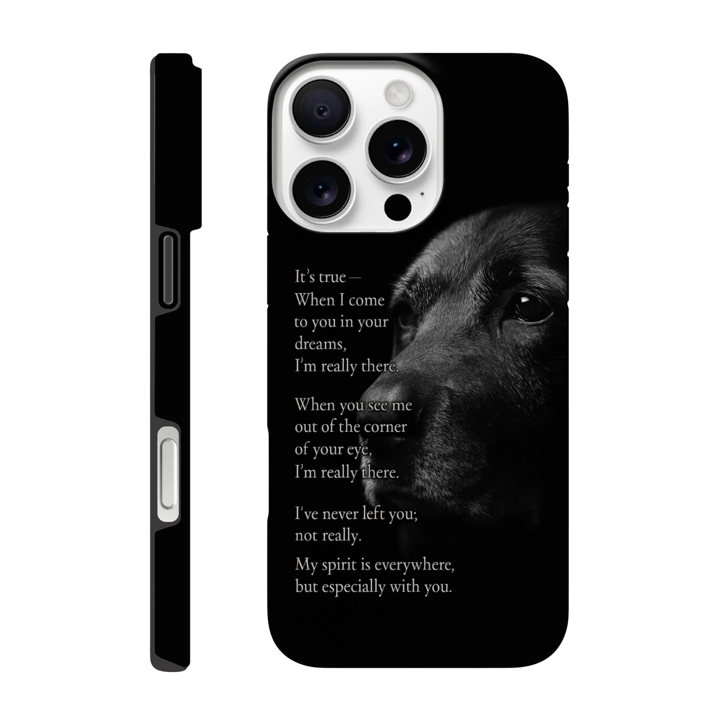 f6862905-306f-47a6-a795-b4089834fd4e