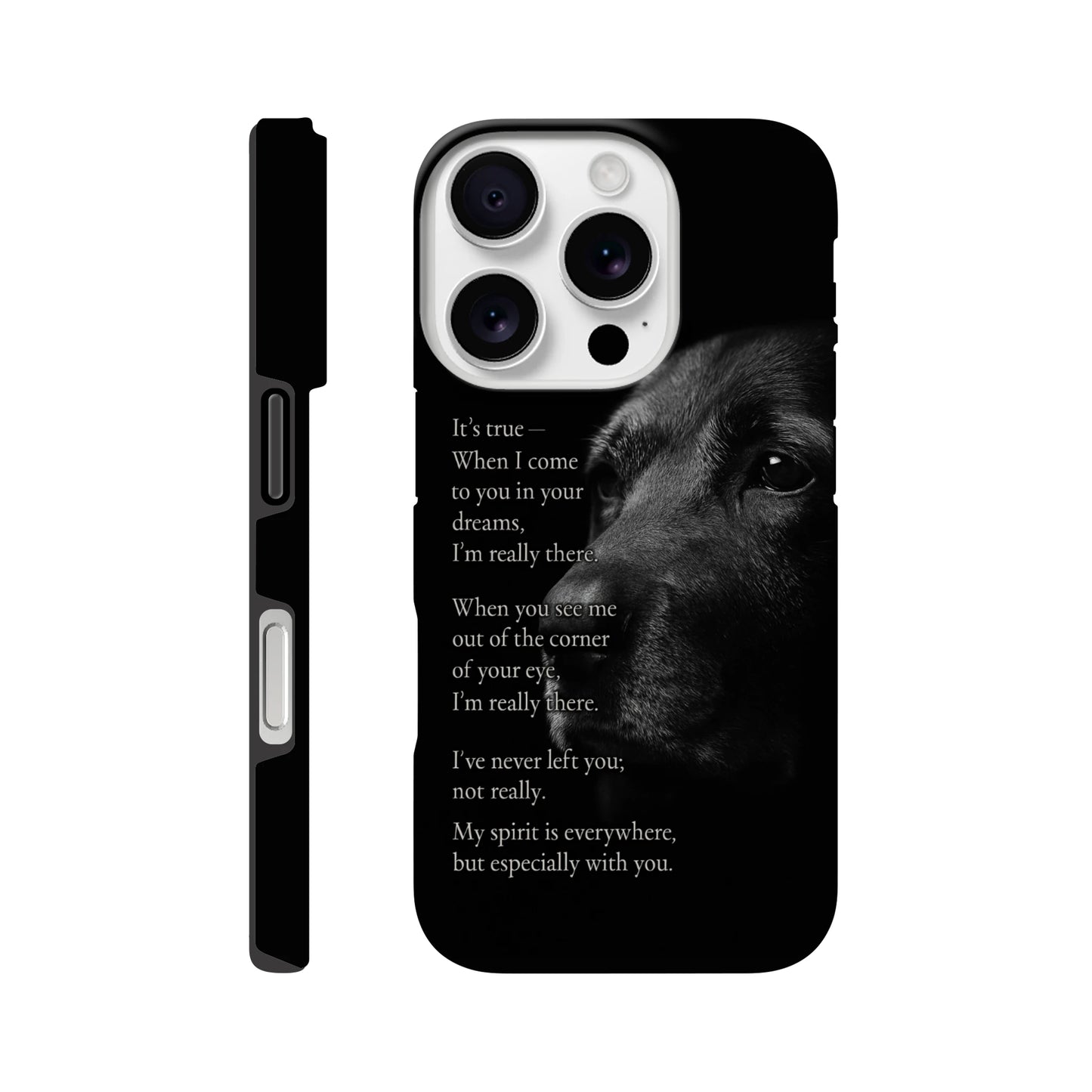 ffe33424-2362-4e39-a80f-af9caf90b664